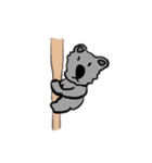 コアラマン②（個別スタンプ：5）