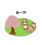 桜-三匹の犬たち（個別スタンプ：24）