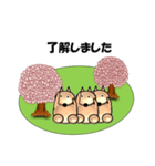 桜-三匹の犬たち（個別スタンプ：26）