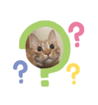 ジルちゃんスタンプ 1（個別スタンプ：2）