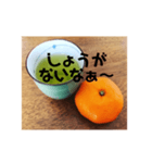 緑茶とみかん（個別スタンプ：1）