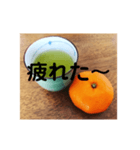 緑茶とみかん（個別スタンプ：2）
