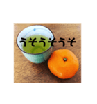 緑茶とみかん（個別スタンプ：6）