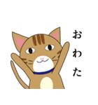それ行け！！西岡大根と三匹の猫（個別スタンプ：13）