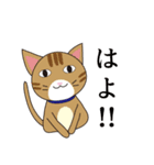 それ行け！！西岡大根と三匹の猫（個別スタンプ：14）
