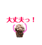 ニューヨーク スタンプ(食べ物ver.)（個別スタンプ：9）