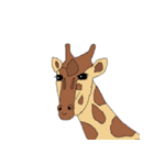かわいい動物の世界！（個別スタンプ：3）