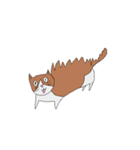 かわいい動物の世界！（個別スタンプ：8）