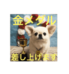 ポメチワニーズペキ2（個別スタンプ：1）
