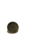 画鋲100％（個別スタンプ：8）