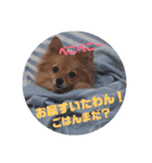 ぽんずのぽんちゃんだよ（個別スタンプ：5）