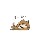 ゆるぅ〜いどうぶつたち（個別スタンプ：17）