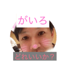 We're ごちゅーせい（個別スタンプ：4）
