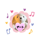 女子向き（個別スタンプ：1）