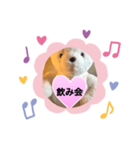女子向き（個別スタンプ：3）
