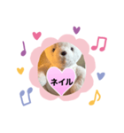 女子向き（個別スタンプ：4）