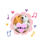 女子向き（個別スタンプ：10）