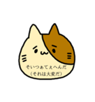 ダー子のねこたん（個別スタンプ：4）