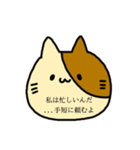 ダー子のねこたん（個別スタンプ：7）