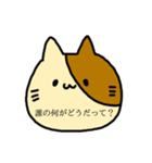 ダー子のねこたん（個別スタンプ：16）