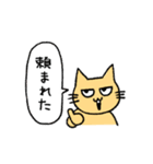 うさねこハイテンション（個別スタンプ：3）