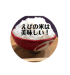 むぎちゃんです（個別スタンプ：7）