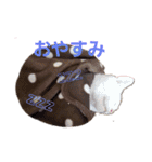 家のにゃんこちゃんたち（個別スタンプ：12）
