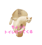 家のにゃんこちゃんたち（個別スタンプ：20）