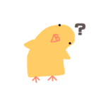 セキセイインコ よく使う言葉（個別スタンプ：13）