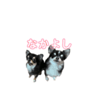 むぎ＆せら（個別スタンプ：1）