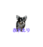 むぎ＆せら（個別スタンプ：2）
