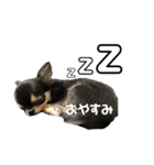 むぎ＆せら（個別スタンプ：5）