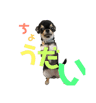 むぎ＆せら（個別スタンプ：8）