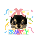 むぎ＆せら（個別スタンプ：9）