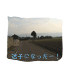 道路ってステキ！Power Up Ver1.11（個別スタンプ：4）