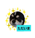 よん友いろいろ（個別スタンプ：6）