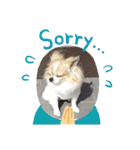よん友いろいろ（個別スタンプ：16）
