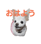 よん友いろいろ（個別スタンプ：23）