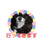 よん友いろいろ（個別スタンプ：25）