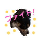よん友いろいろ（個別スタンプ：27）