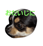 よん友いろいろ（個別スタンプ：29）