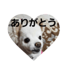 よん友いろいろ（個別スタンプ：30）