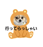 よん友いろいろ（個別スタンプ：32）
