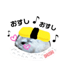こちゃまるスタンプ②（個別スタンプ：11）