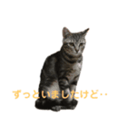 ばないちゃん（個別スタンプ：1）