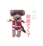 トイプードル コロナの日常（個別スタンプ：5）