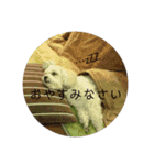 しゅうもこ シリーズ1（個別スタンプ：9）