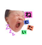 Suuuu chan（個別スタンプ：1）