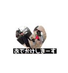 よりもん③（個別スタンプ：5）
