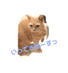 陽気なブリトニー＆おてんばサブリナ 3（個別スタンプ：14）